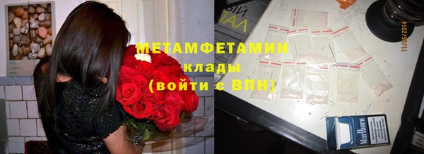 трава Аркадак