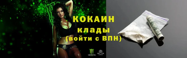 трава Аркадак