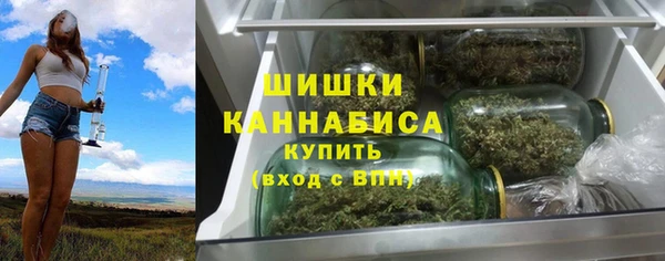 трава Аркадак