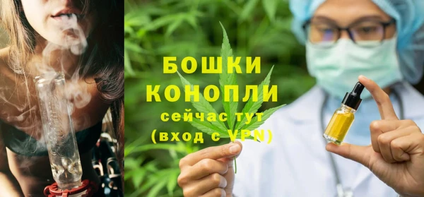 трава Аркадак