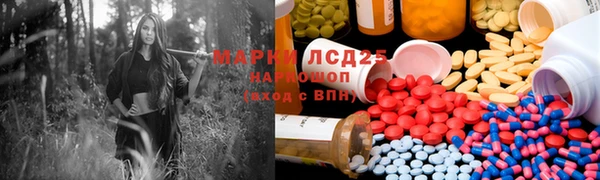 трава Аркадак