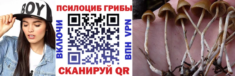 Галлюциногенные грибы Magic Shrooms  Купить  Вилюйск 